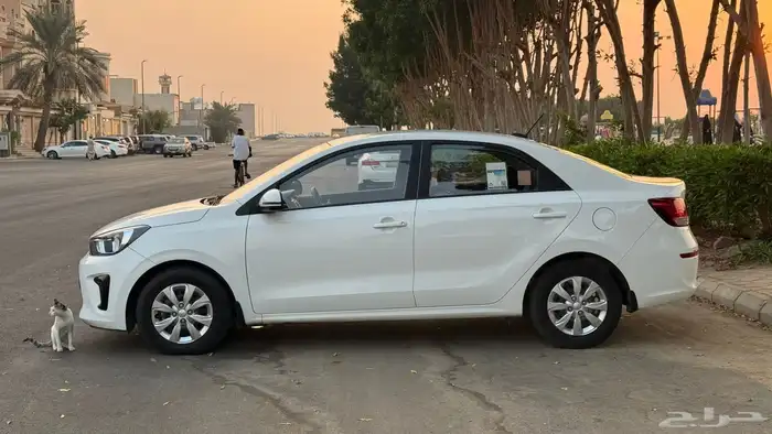 كيا بيقاس 2024 20