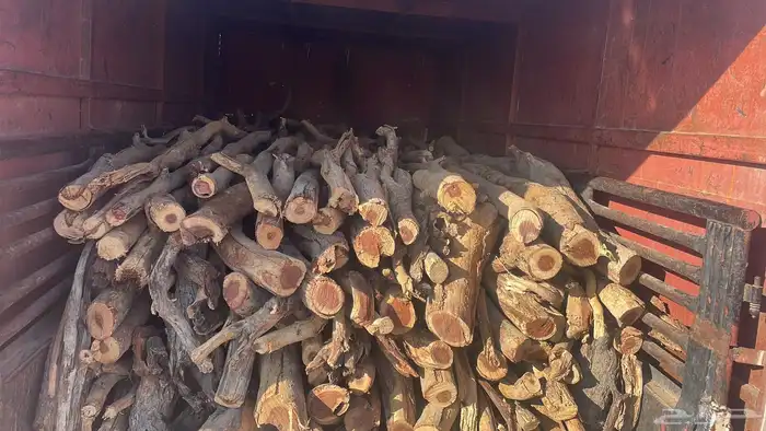 البيع ددسن 5