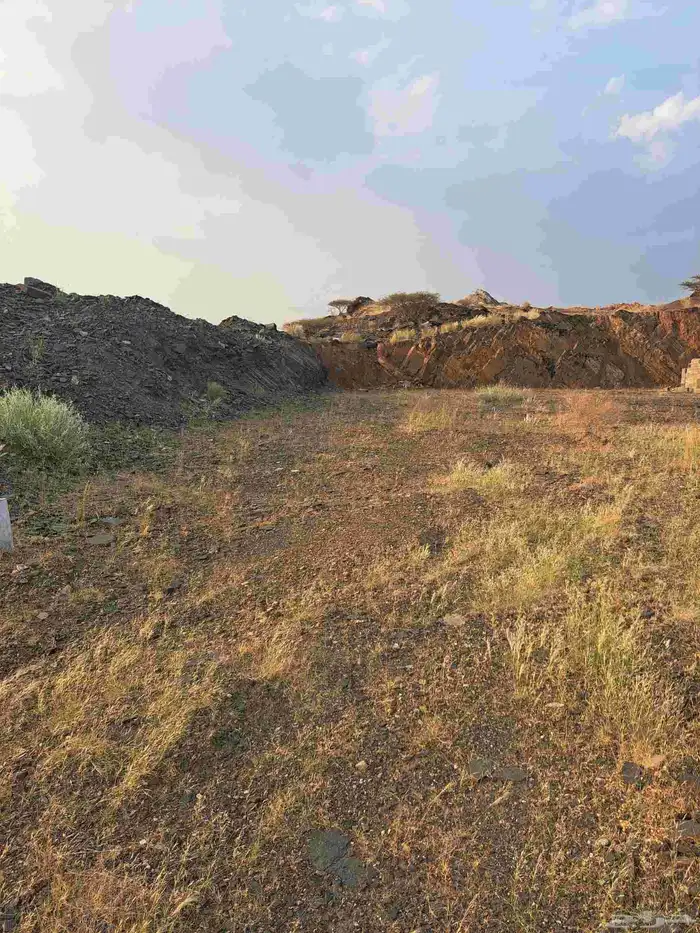 ارضين للبيع مخطط بني زيد جندله مساحت كل ارض 300متر 4