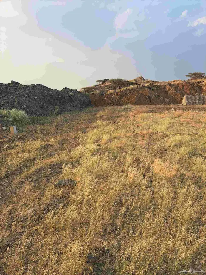 ارضين للبيع مخطط بني زيد جندله مساحت كل ارض 300متر 6