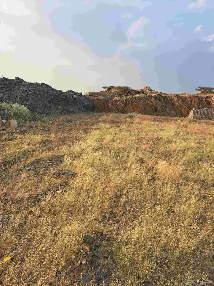 ارضين للبيع مخطط بني زيد جندله مساحت كل ارض 300متر 7