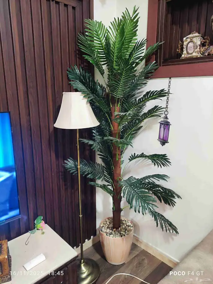 شجرتين زينة   أبجورة زاوية انارة بثلاث ألوان من إيكيا 0