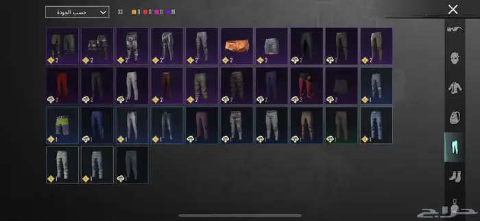 حساب ببجي 13