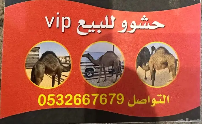 متوفرر جميع الحشوو 0