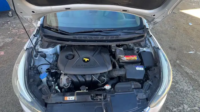 النترا 2016 وكالة ممشى قليل 20