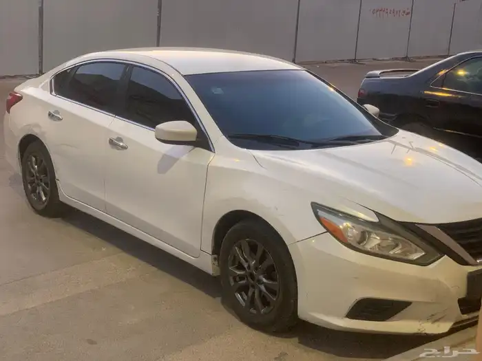 التيماء 2017 10