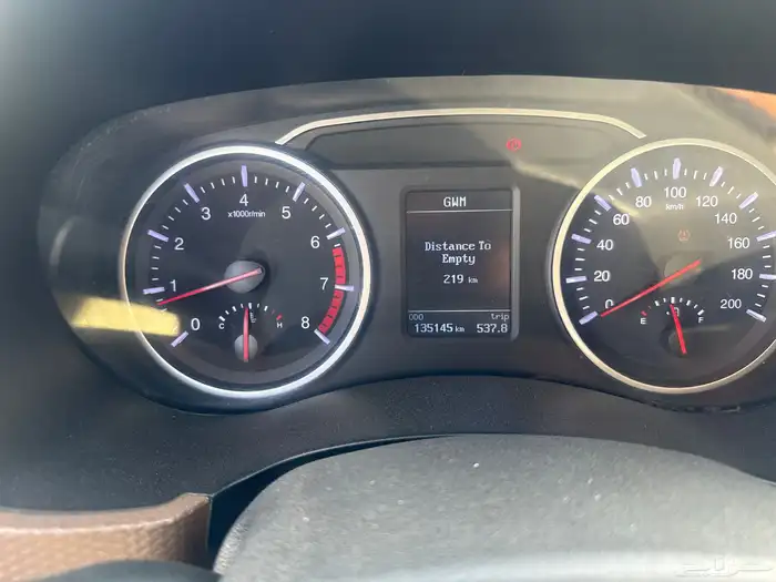 greet waal 2020 model 2