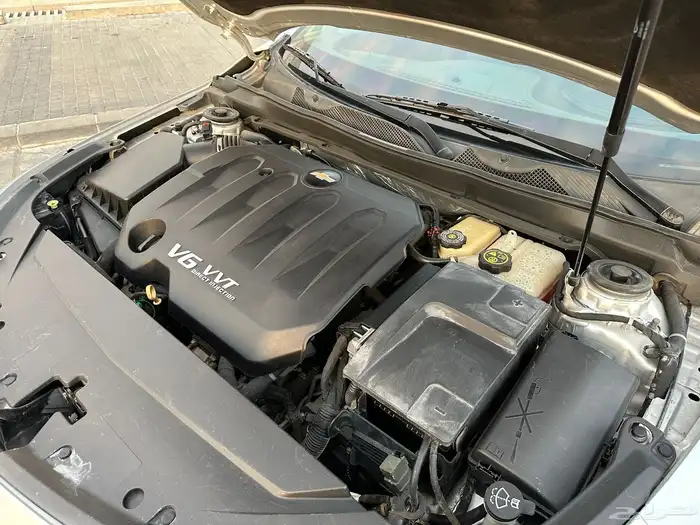 امبالا 2016 وارد التوكيلات 29