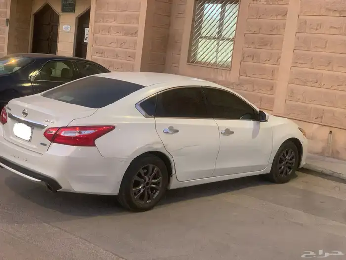 التيماء 2017 11