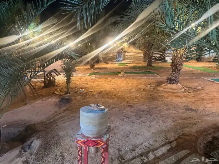 مخيم السوسن في عنيزة 7