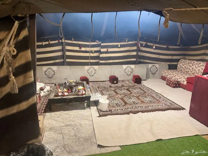 مخيم السوسن في عنيزة 2