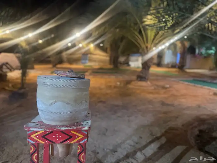 مخيم السوسن في عنيزة 11