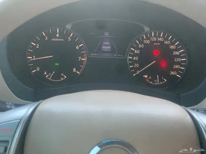 التيماء 2017 16