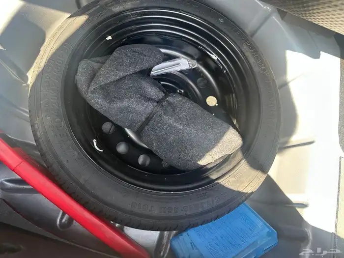 شيري اريزو 5 12