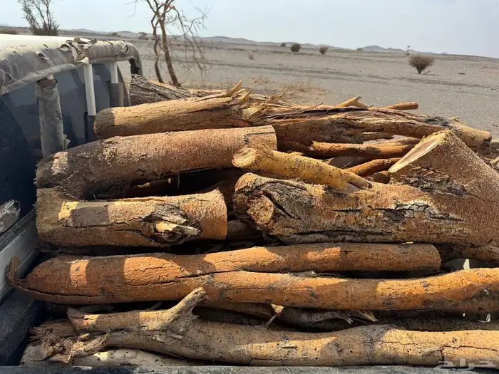 حطب مستورد. سمر 1