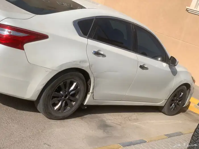 التيماء 2017 1