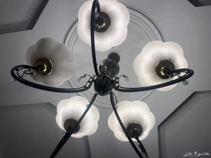 نجفات للبيع 1