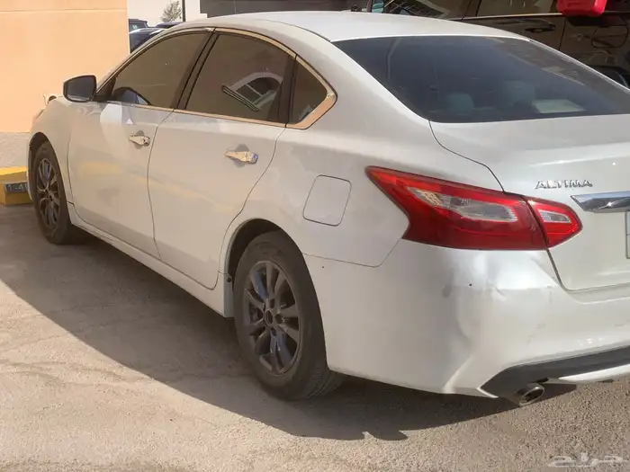 التيماء 2017 3