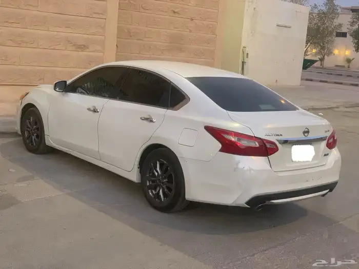 التيماء 2017 12