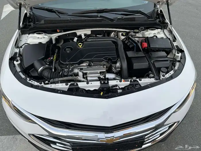 ماليبو 2022 16