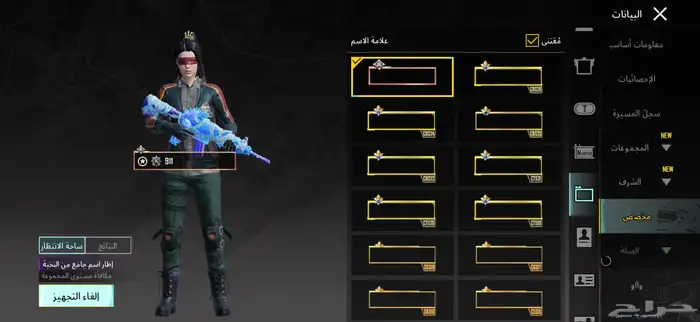 حساب ببجي للبيع 5