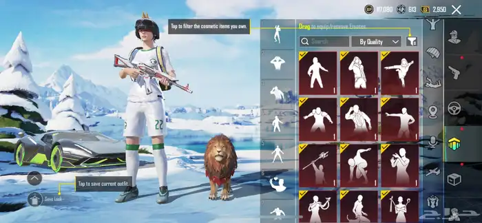 حساب ببجي للبيع 13