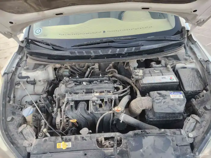 النتراء 2016 9