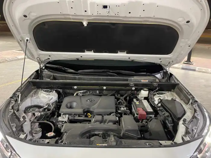 راف فور 2025 21