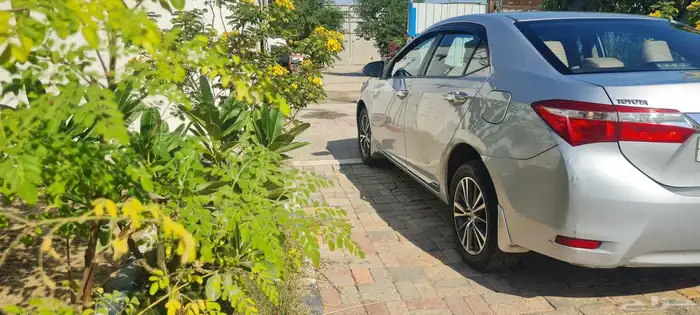 بيع كورولا موديل 2015 ماشي 360 الموضه النظيف 2