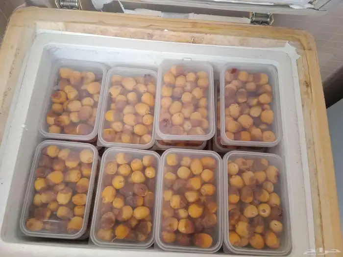 يوجد رضب للبيع الحب 5ريال رضب معيرص ونجمي 2