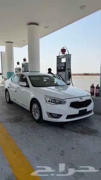 كادينزا 2014 3