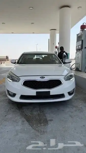 كادينزا 2014 4