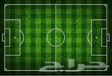 ا موجود فينيل طبي موكيت مشمع بلاستيك موكيت بلاطات عشب صناعي 39