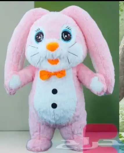 مهرجين و عروض ترفهية متنوعة 16