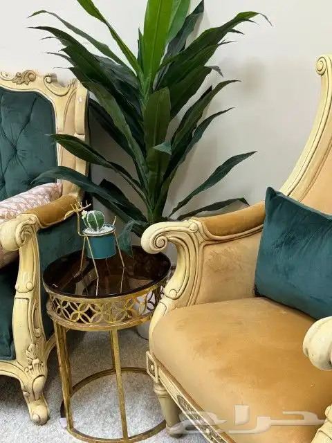 كنب بملحقاته وطاولة طعام 12كرسي 2