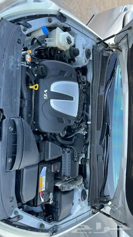 كدنزا 2016 ممشى قليل 6