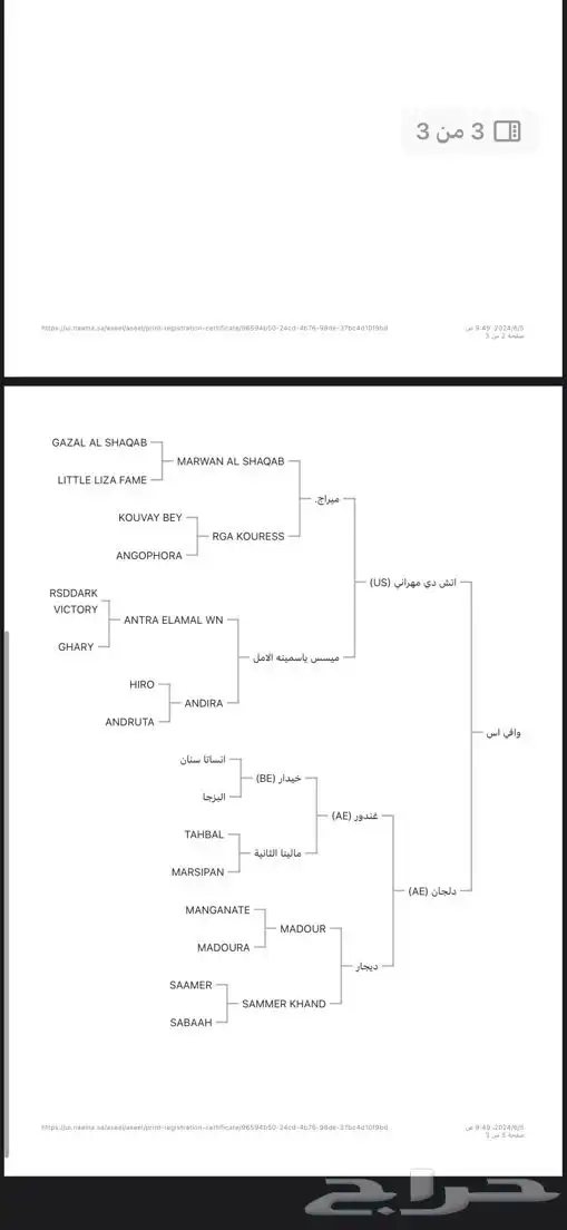 حصان مكس جمال تشبيه لوجه الله 2