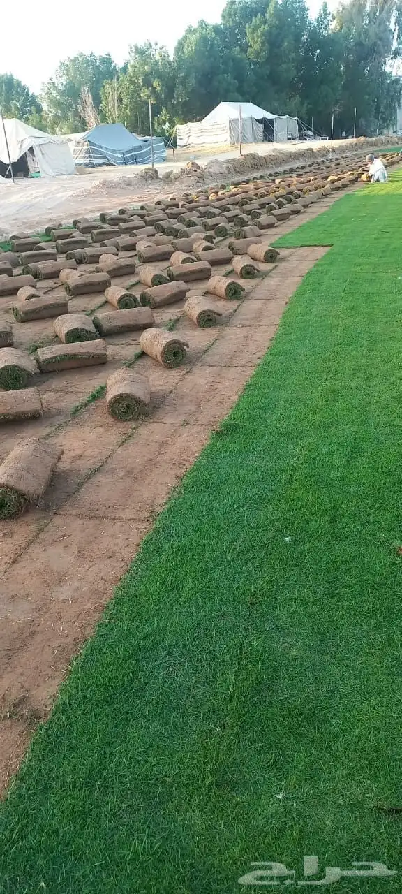 ثيل درجه اولا C2000 1