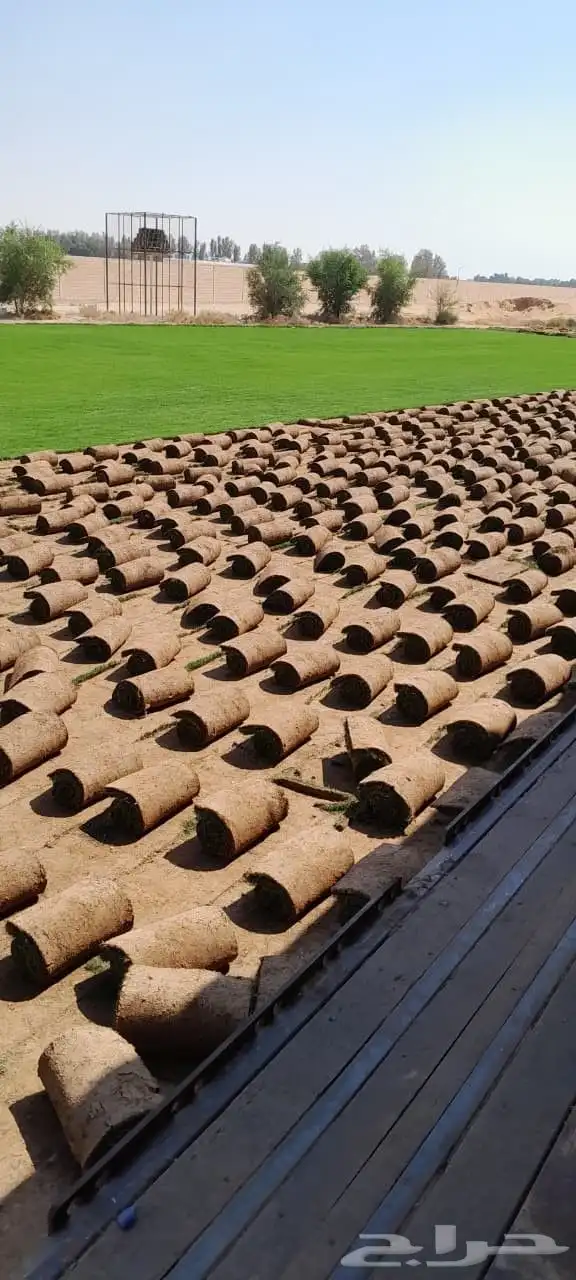 ثيل درجه اولا C2000 0