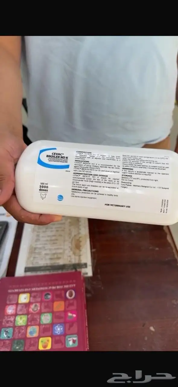 تطعيم طيور عن مرض بورقيبه 0