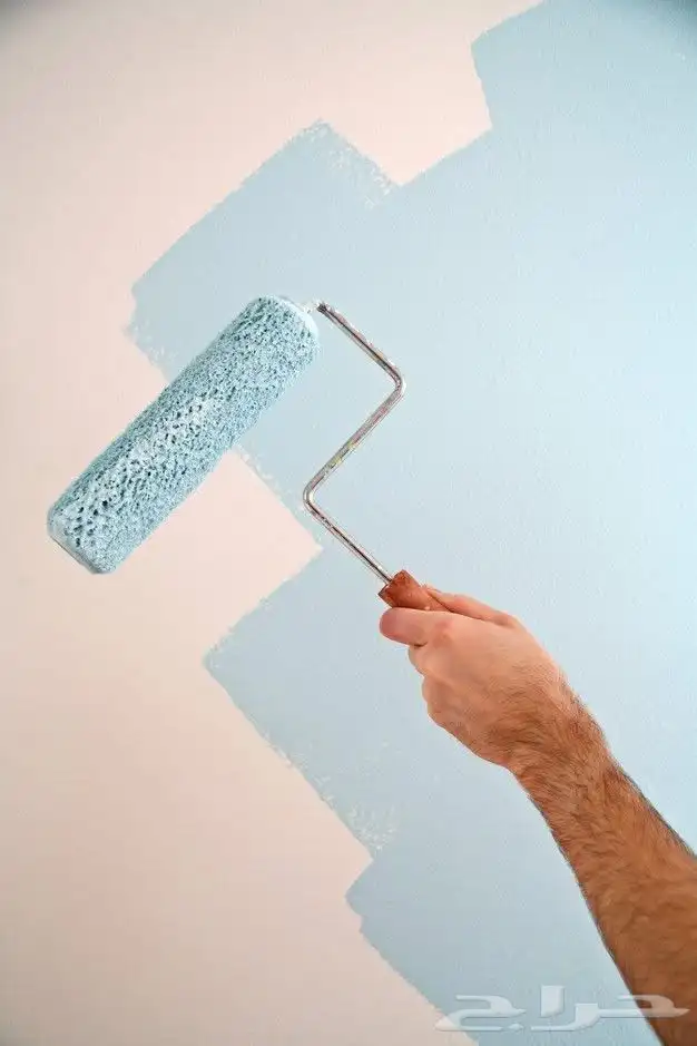 داهان باكستاني ايدريفيده أبها خيمس 14