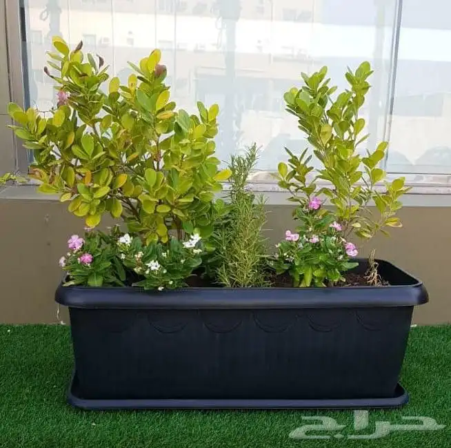 مشتال افندينه لي ازراعه وتنثيك الحديف و الشجار المثمره 4