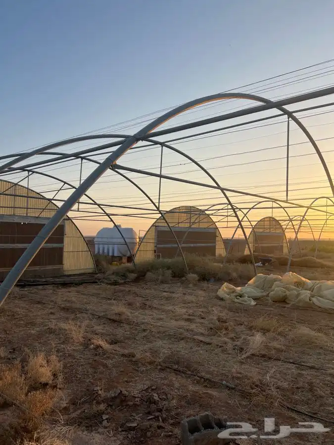 بيوت محمية حديد مجلفن 2