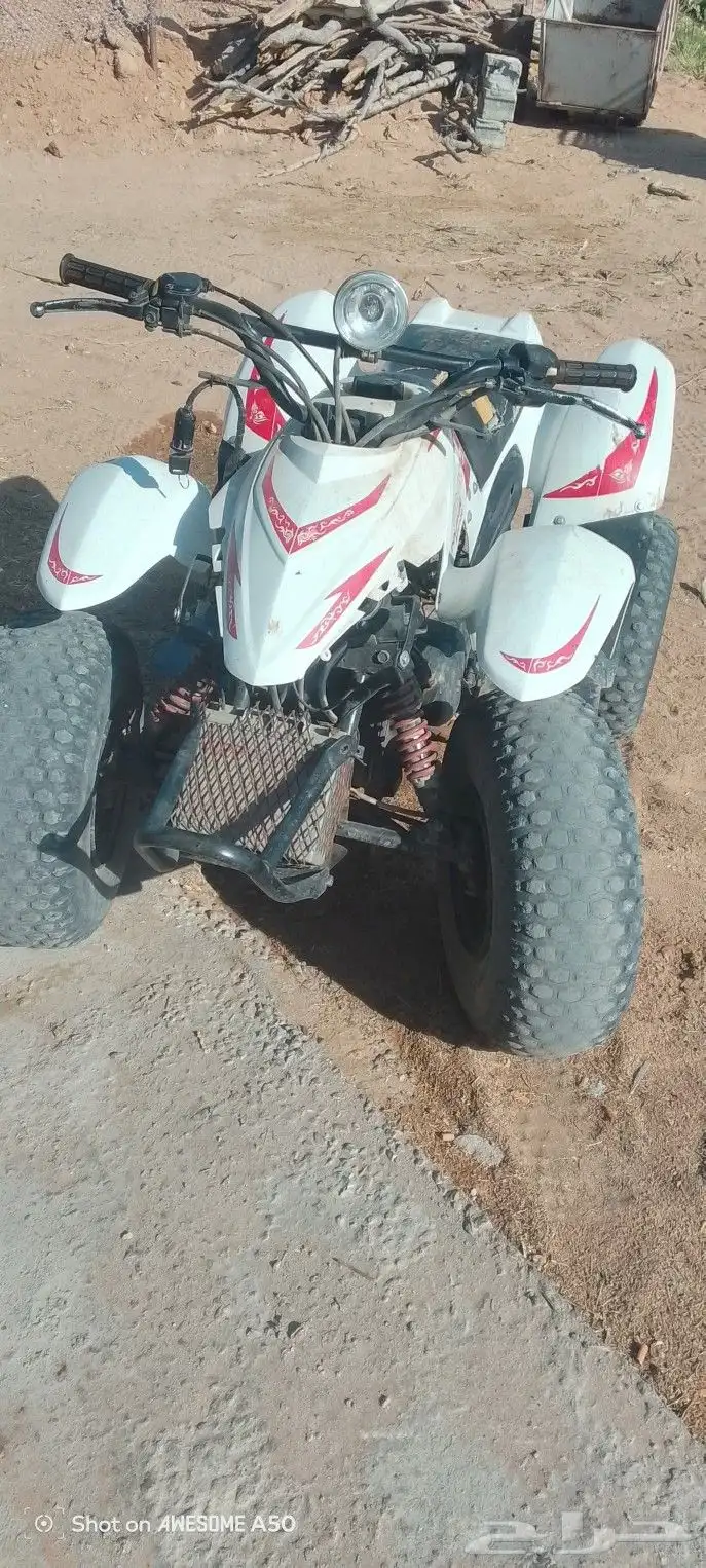 دباب للبيع 1