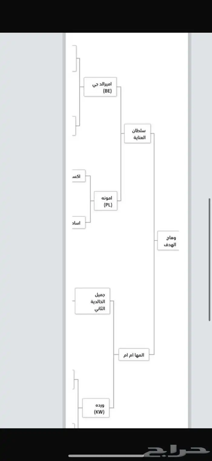 خيل عربي للبيع 3