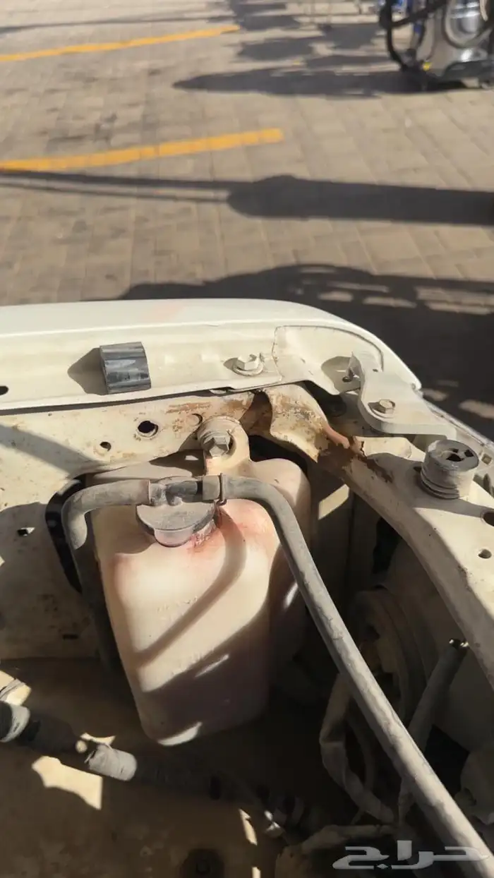 ربع2009 ( تم البيع ) 8