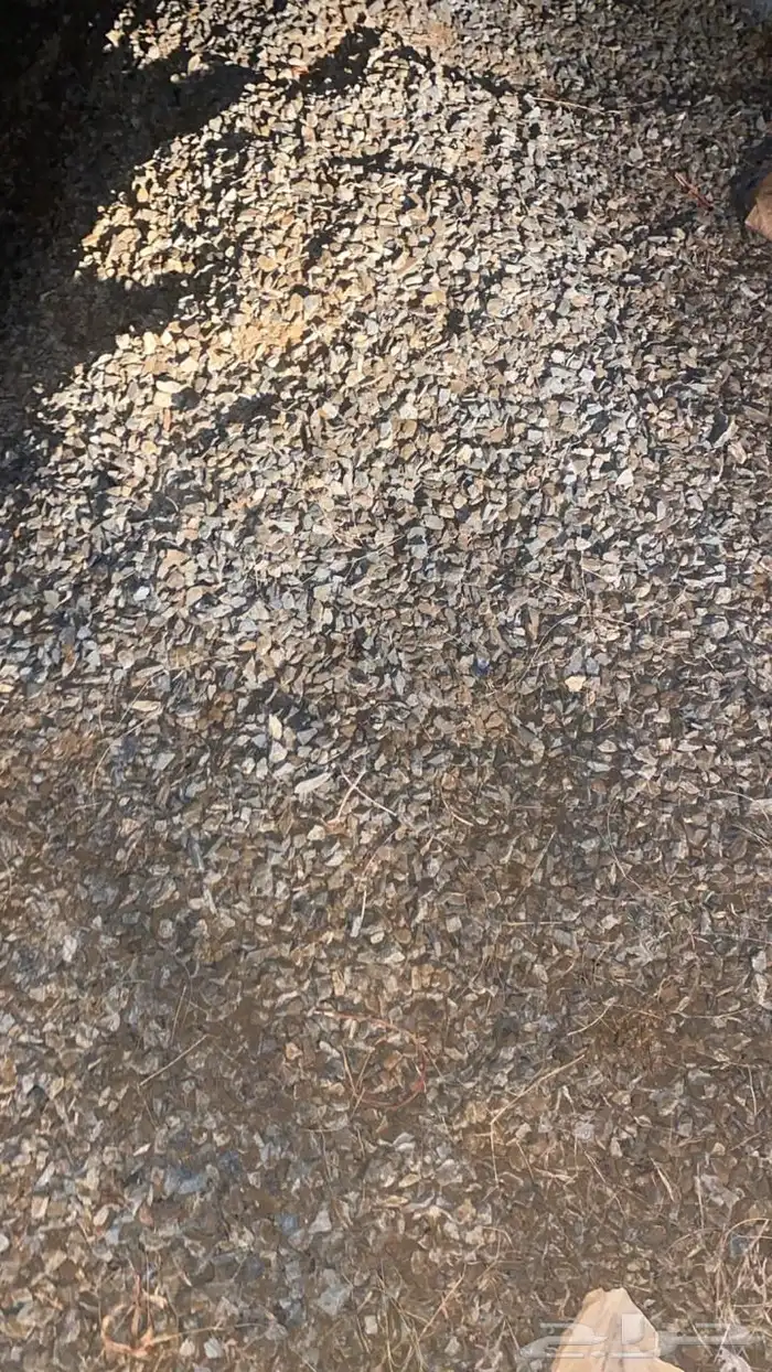 توريد جميع أنواع المواد الردميات عدسية و سنبيص و رمل 13