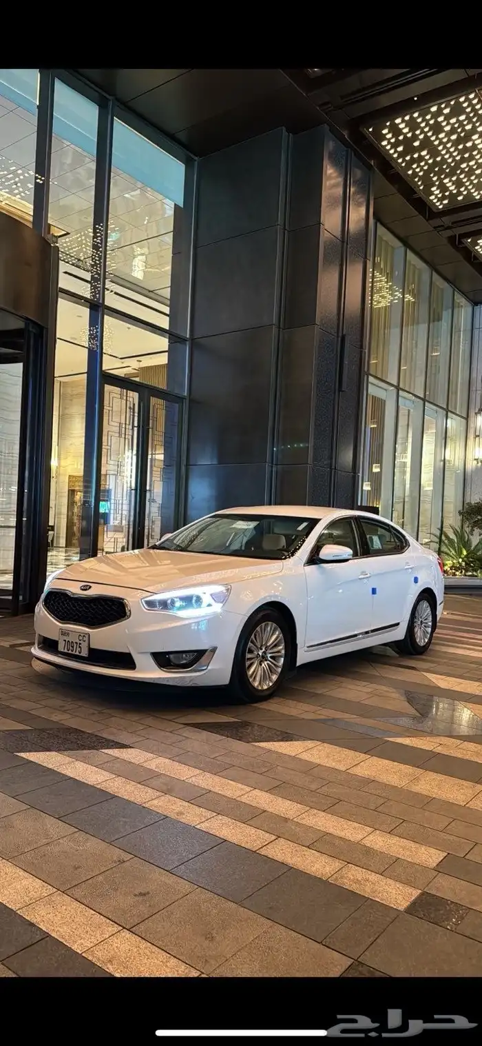 كادينزا 2014 7