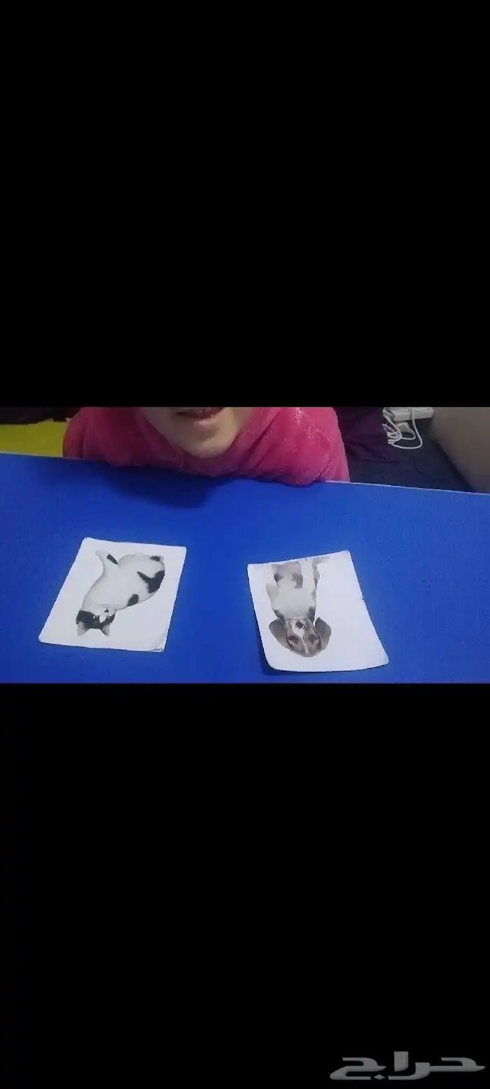 جلسات تخاطب وتعديل سلوك 0