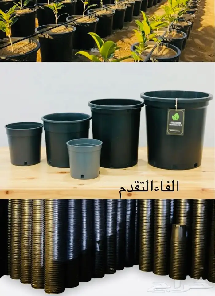 متوفر جميع مقاسات السطول الزراعيه 0